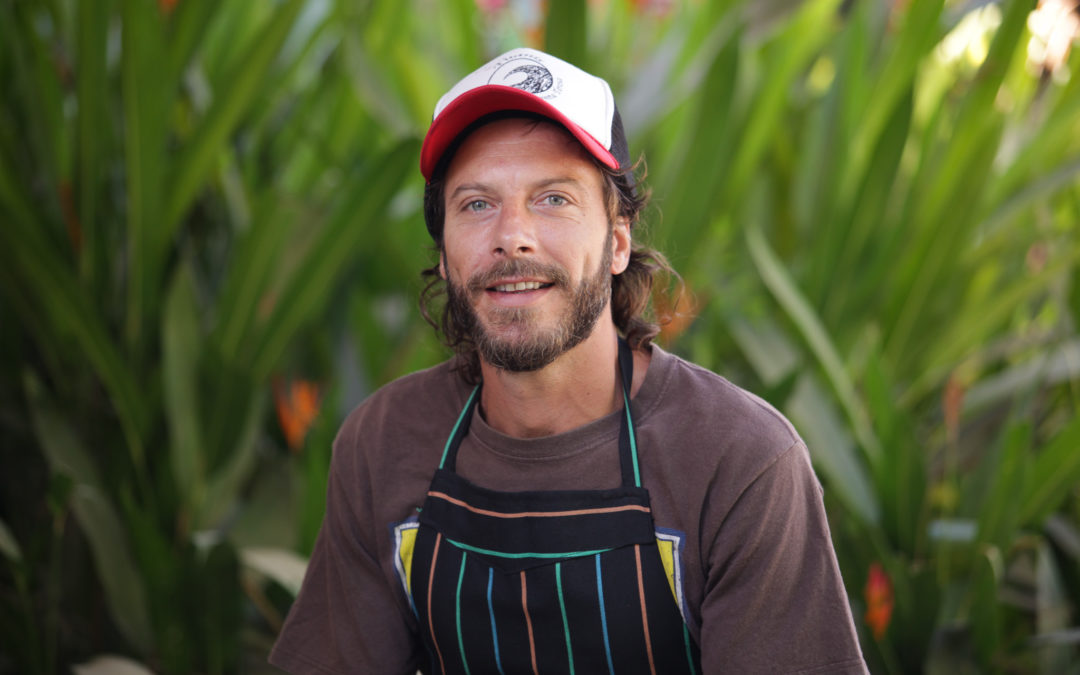 Nuevo sabor en la cocina de FV