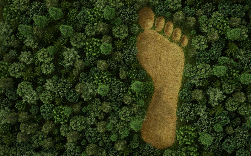 Ecological Footprint