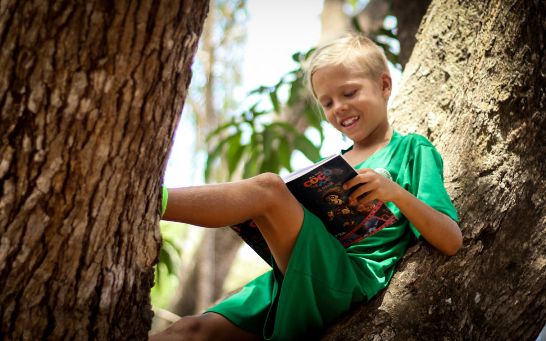 Promoting books underneath the trees