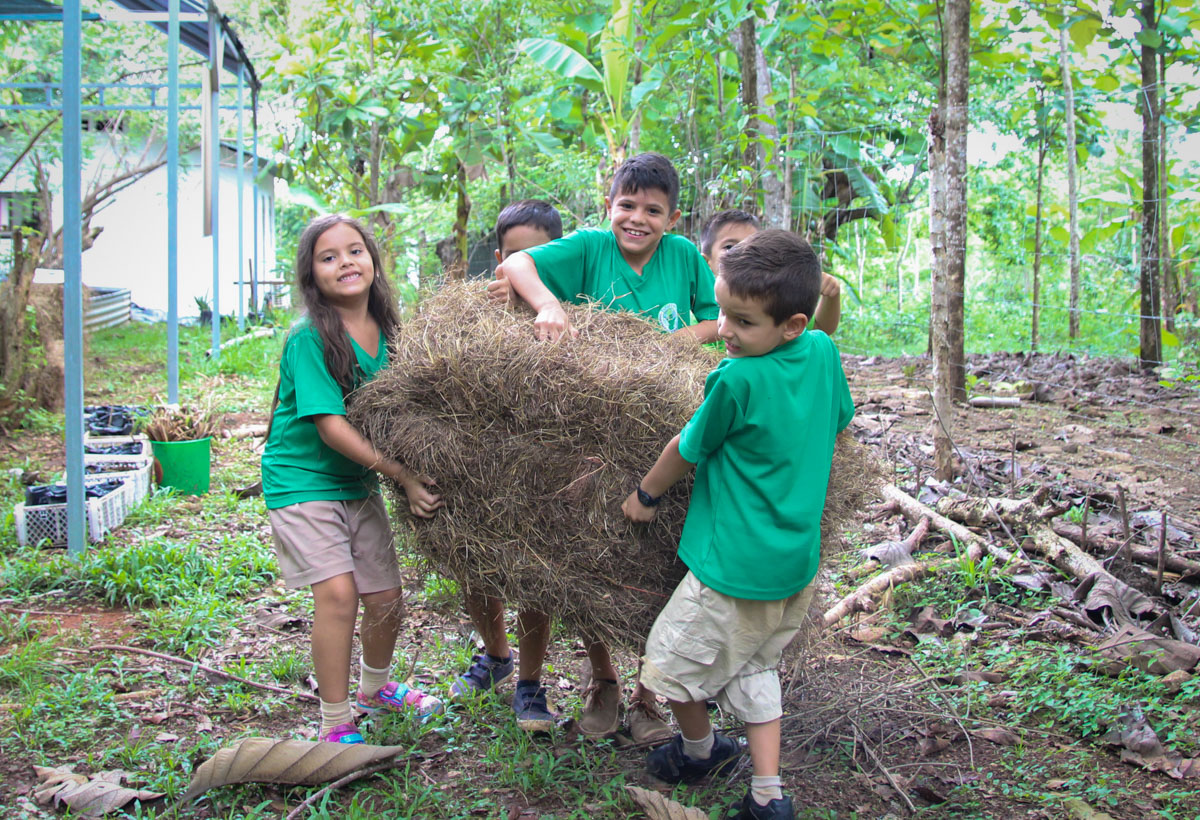 Permaculture