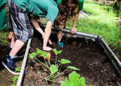 8th graders working in the garden