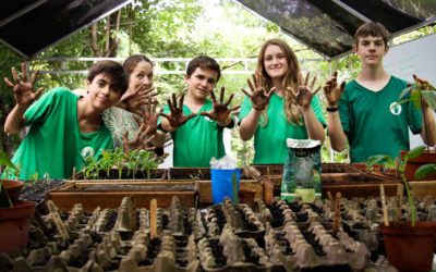 Futuro Verde: We Grow and Learn in Harmony with Nature