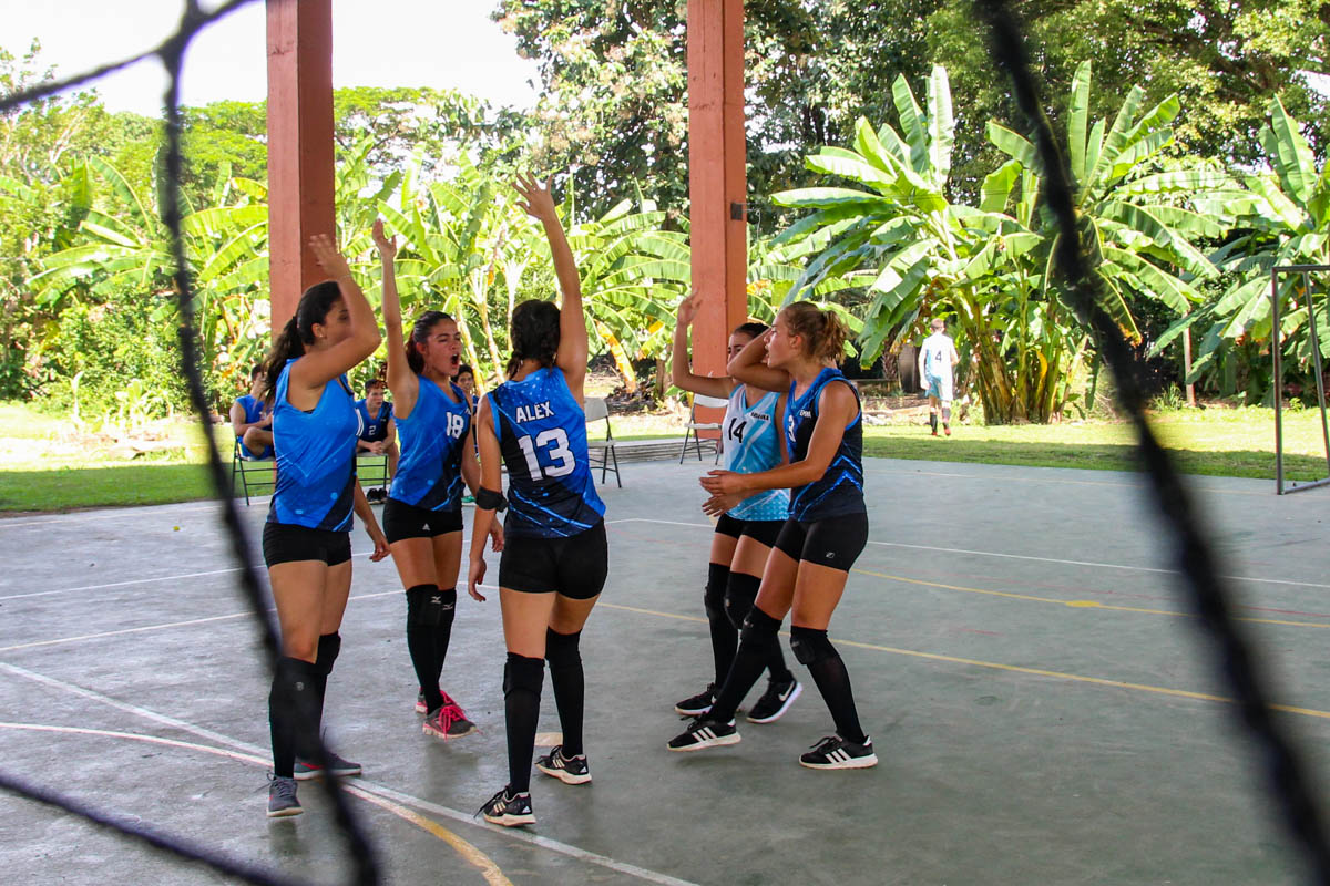 Voleibol femenino