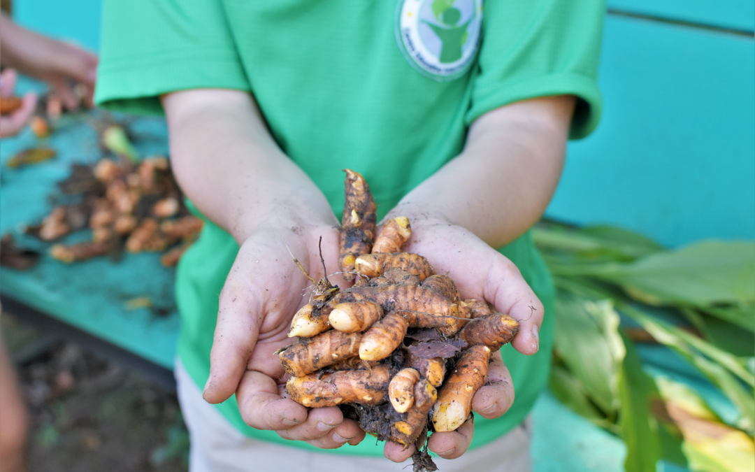 Composting for the Future