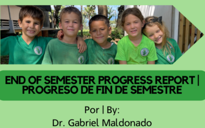 Carta #17: Progreso del Primer Semestre | Letter #17: End of Semester Progress Report