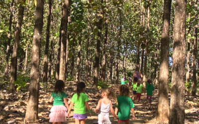 HOS Letter #2: Beginning of the Year – Moving Our School Forward! | Carta del HOS #2: Inicio del Año – Avanzando Nuestra Escuela Adelante